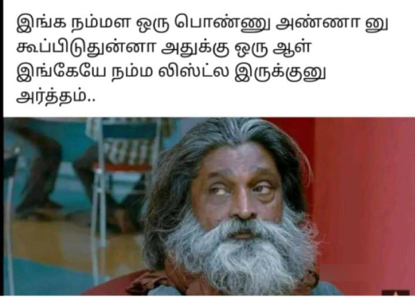 raksha bandhan brothers day memes