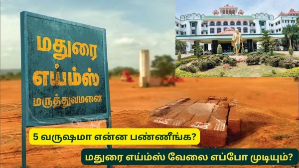 madurai madurai aiims high court