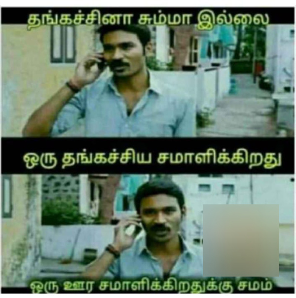 raksha bandhan brothers day memes