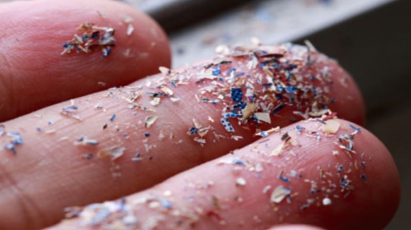 salt and sugar Food adulteration