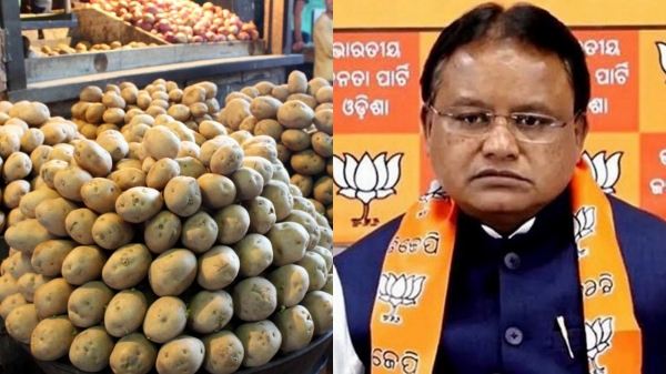 potato politics odisha