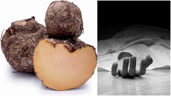 krishnagiri karunai kilangu