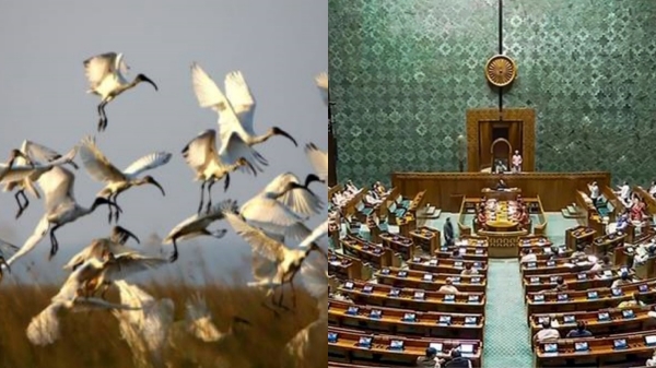 parliament tamilnadu parliament tamilnadu