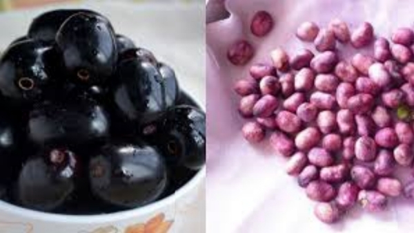 Jamun Seeds jamun seeds powder diabetics
