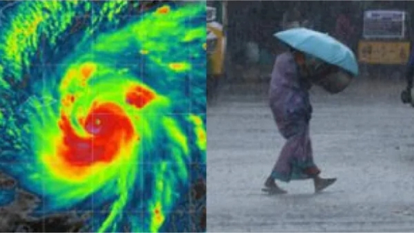 Rain Weather report Nilgirils Rain Weather report Nilgirils