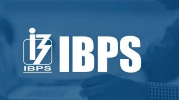 ibps job