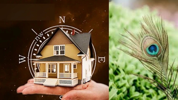 Peacock Vastu Tips Peacock Vastu Tips