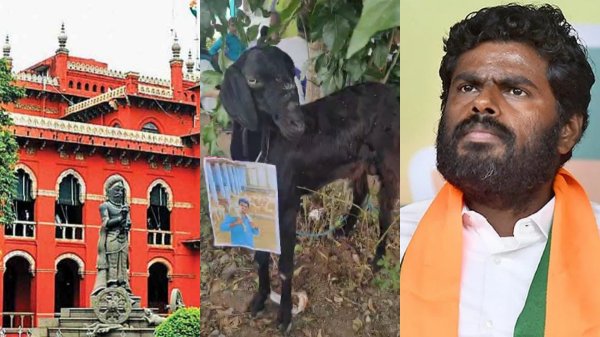 Annamalai dmk high court Annamalai dmk high court
