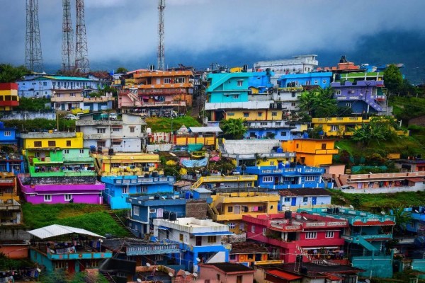 Nilgiri Food Nilgiri Food