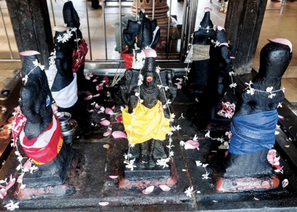 spirtuality navagraha