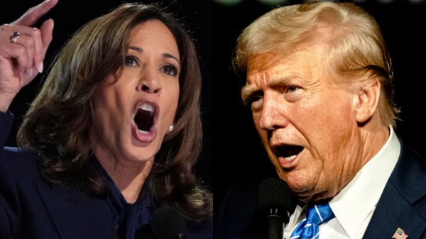 us presidential election 2024 kamala harris donald trump 2024