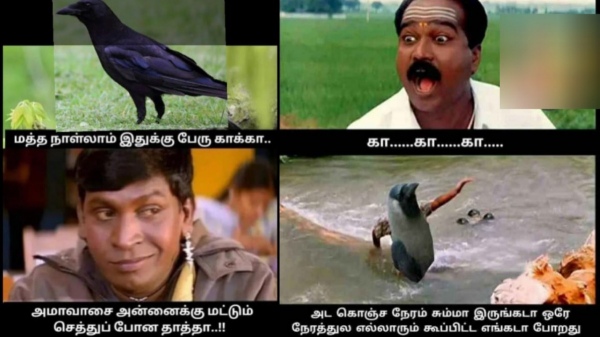 aadi month aadi amavasai memes