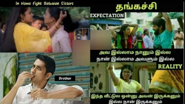 raksha bandhan brothers day memes