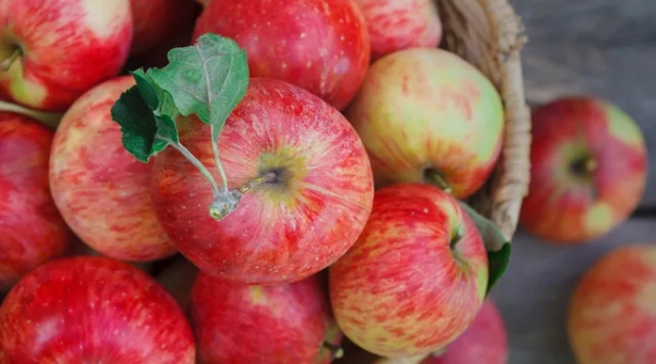 Fruits Health banana