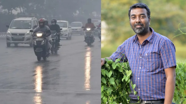 weather weatherman rain