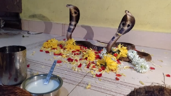 Nag Panchami 2024 spirtuality 2024