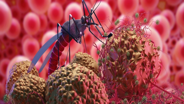 After Kerala now Six Zika virus cases detected in the Karnataka s Bangalore