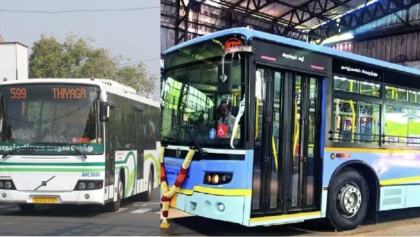 Bus
