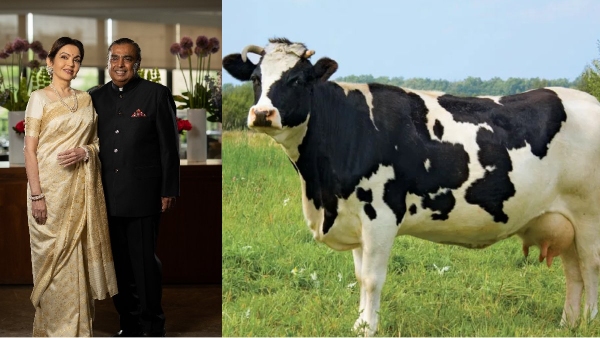 mukesh ambani nita ambani milk mukesh ambani nita ambani milk