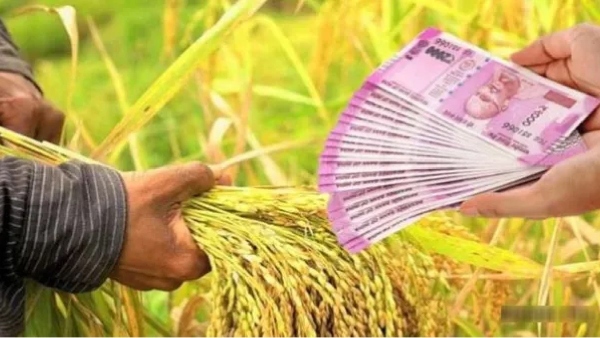 crop loans home loan