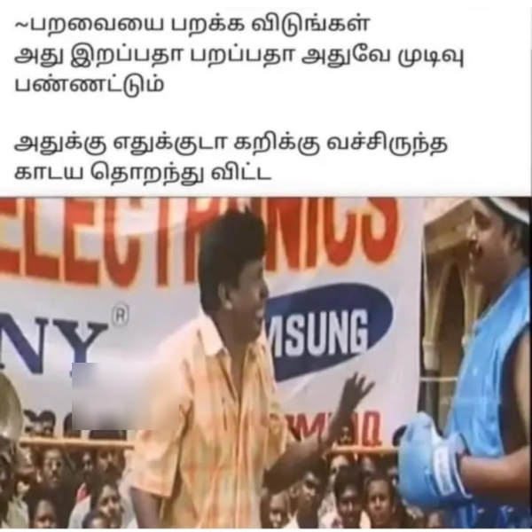 aadi amavasai sunday memes