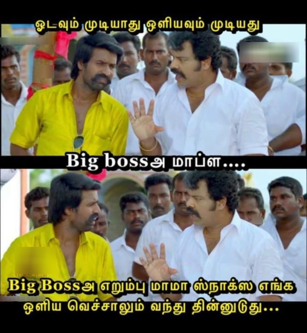 aadi amavasai sunday memes