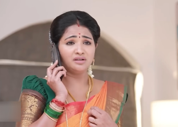 television Pandian Stores