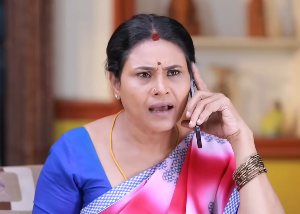 television Pandian Stores