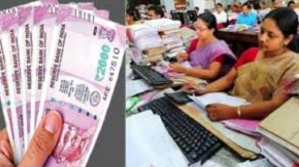 Government Employees