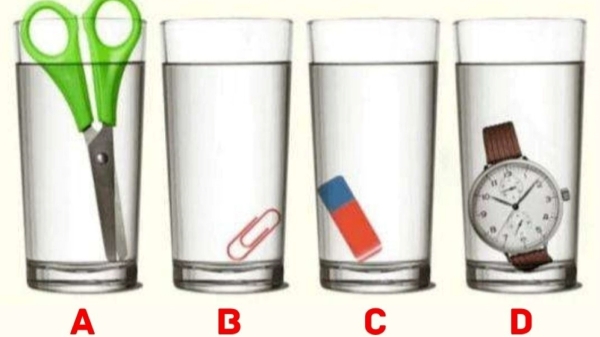 optical illusion offbeat trend