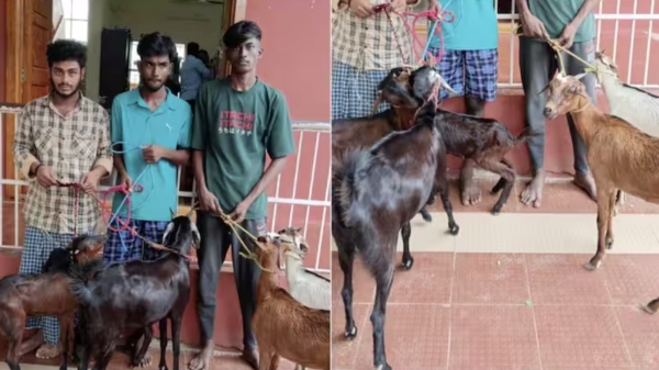 villupuram vizhupuram theft