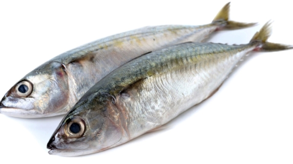 high blood pressure health