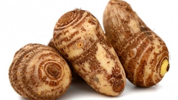 health Seppankizhangu Taro Root