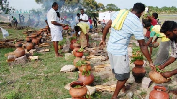 Madurai Temple Festival Goat