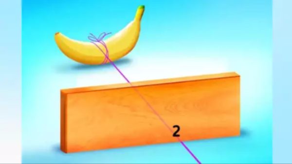 optical illusion offbeat trend