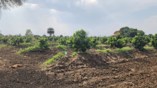 Madhya Pradesh Madhya Pradesh