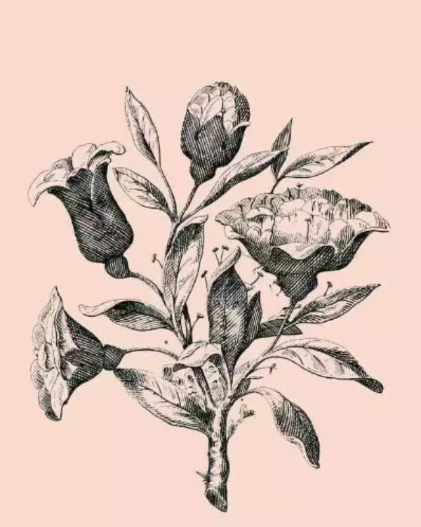 optical illusion offbeat trend