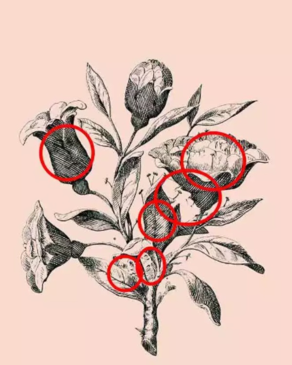 optical illusion offbeat trend