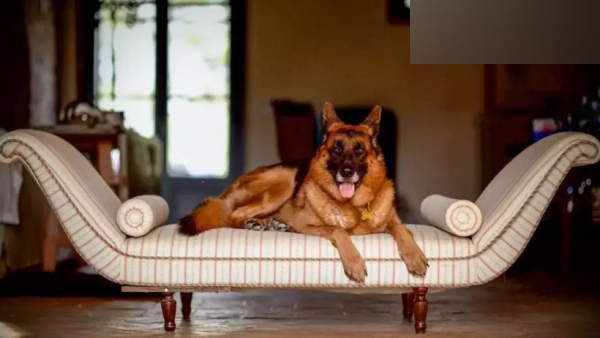 world international italy