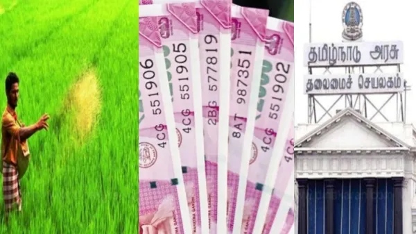 TNEB Free Electricity