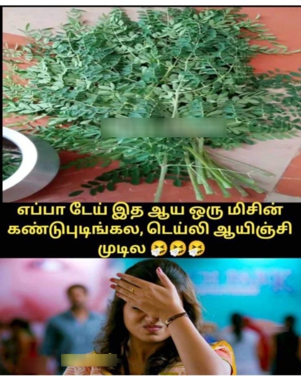 aadi amavasai sunday memes