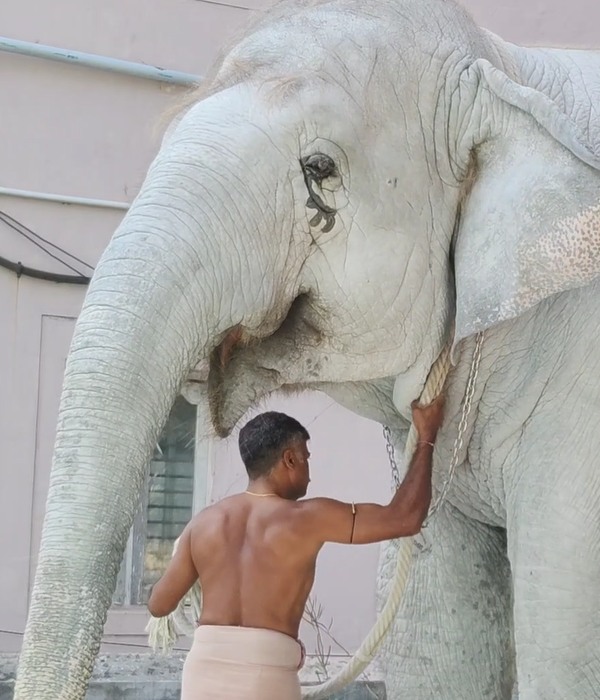 Tiruchendur Murugan Temple Spirituality