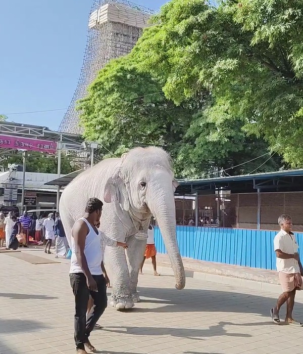 Tiruchendur Murugan Temple Spirituality