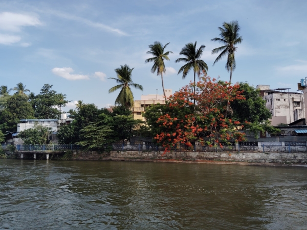 Thanjavur cauvery Thanjavur cauvery