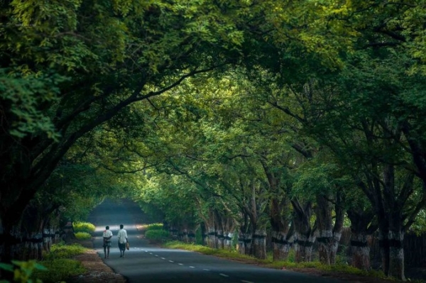 tour ooty