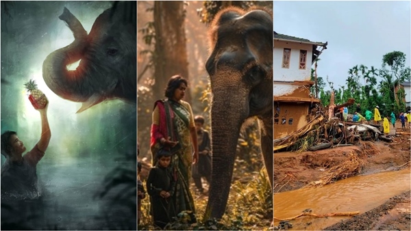 wayanad elephant kerala