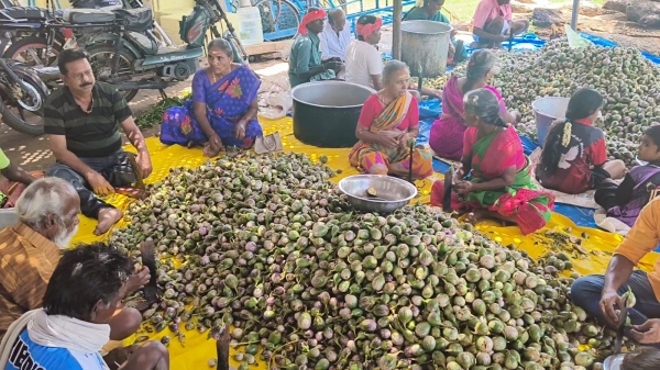Dindigul Feast Spirituality
