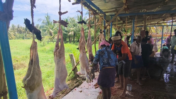 Dindigul Feast Spirituality