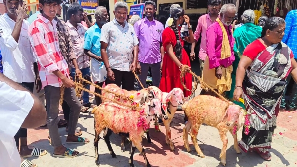 Dindigul Feast Spirituality