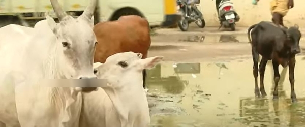 Madurai Tamil Nadu
